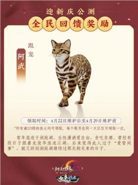 灭天龙八部私服
